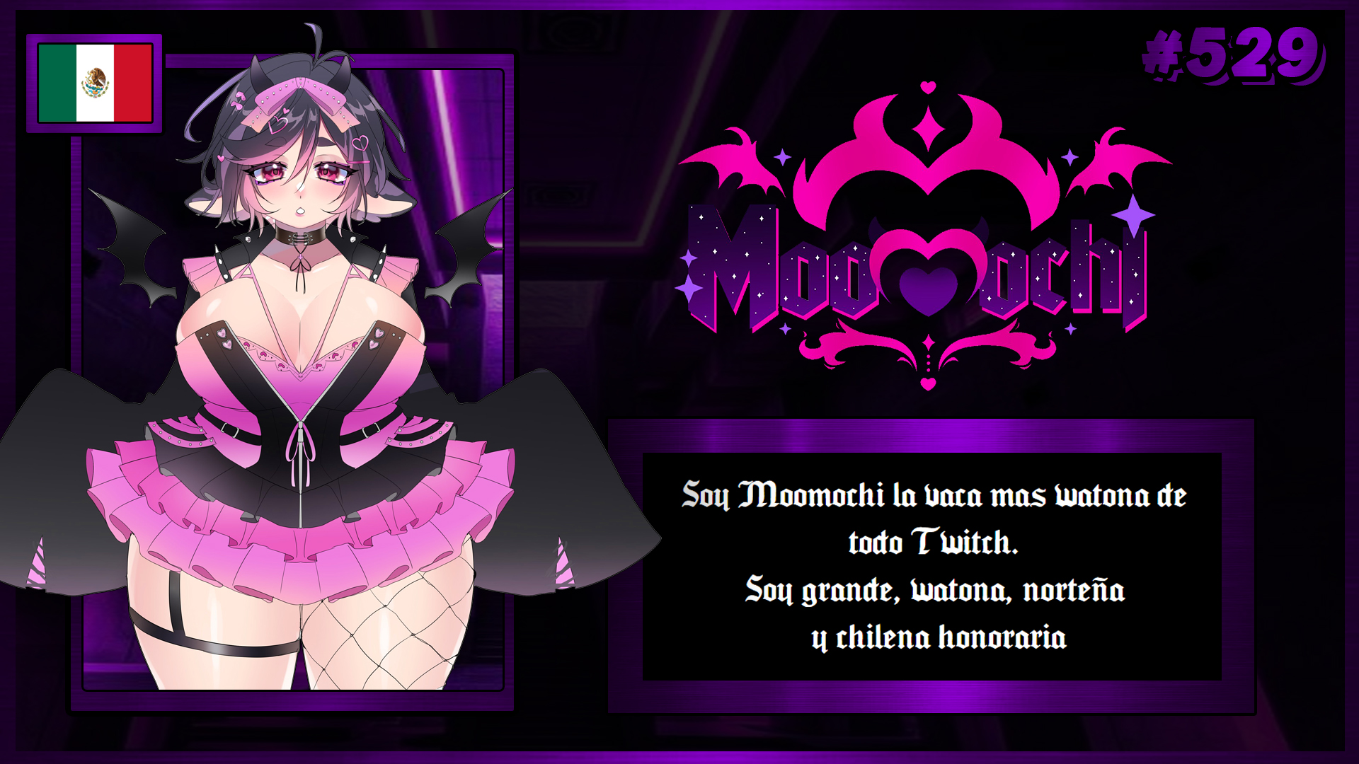 VTuber 529